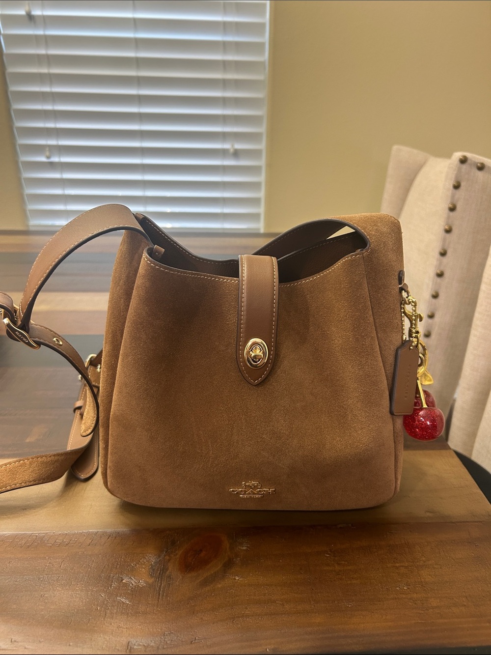 Coach Hadley Suede Brown